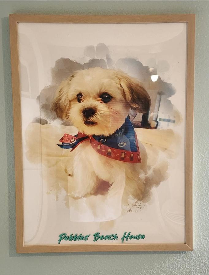 Pebbles' Beach House Edinburg Dış mekan fotoğraf